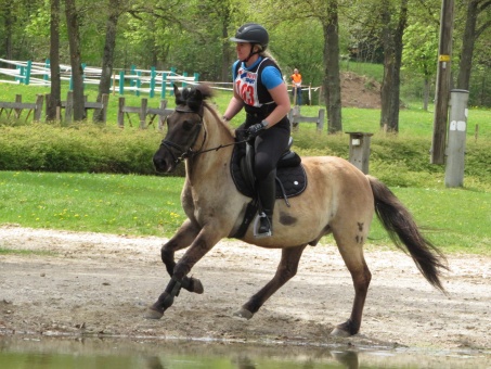 Huzt 25 M.Wieland